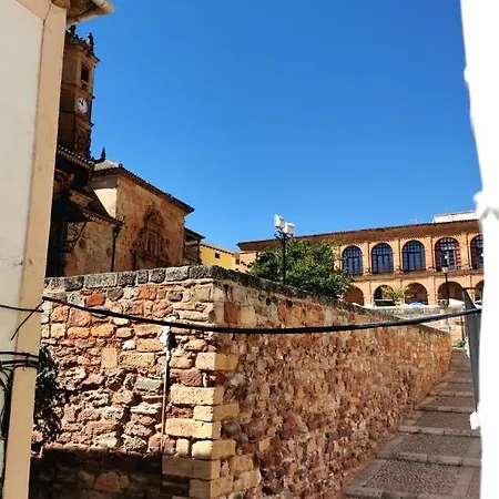 Bracamonte Алькарас