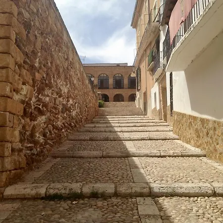 Bracamonte